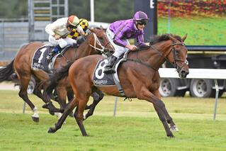 Karaka Graduate Sampson (NZ) Claims Trentham Stakes. Photo: Race Images, Palmerston North.